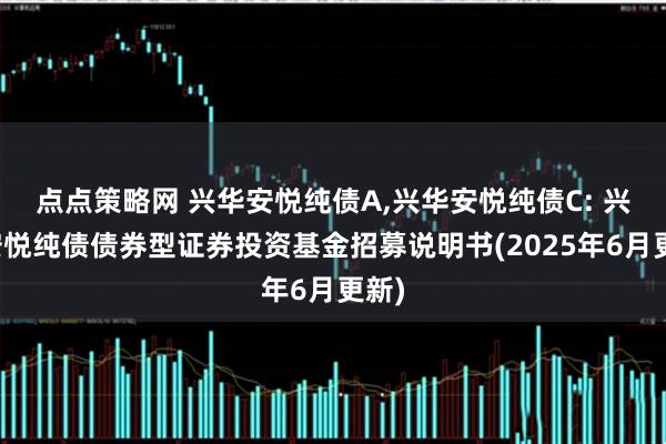 点点策略网 兴华安悦纯债A,兴华安悦纯债C: 兴华安悦纯债债券型证券投资基金招募说明书(2025年6月更新)