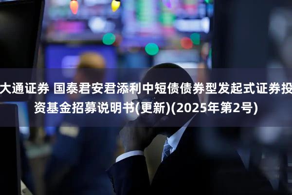 大通证券 国泰君安君添利中短债债券型发起式证券投资基金招募说明书(更新)(2025年第2号)