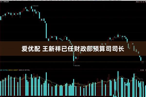 爱优配 王新祥已任财政部预算司司长