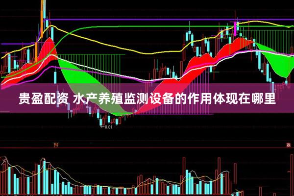 贵盈配资 水产养殖监测设备的作用体现在哪里