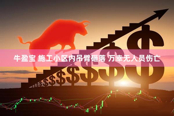 牛盈宝 施工小区内吊臂砸落 万幸无人员伤亡